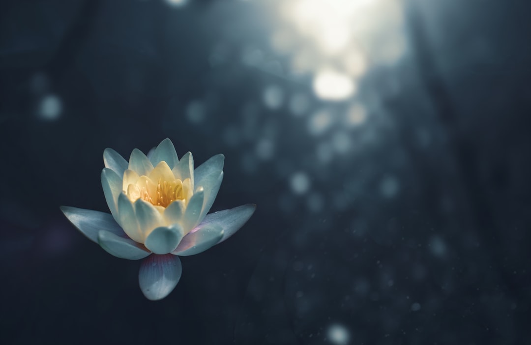 Meditation techniques